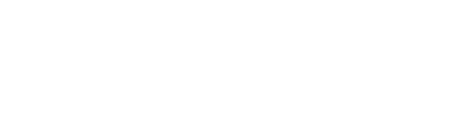 adapt media services